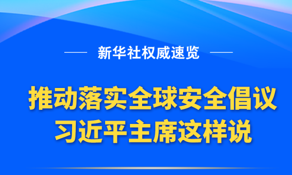 2024新澳精准资料大全，速度与精准性的释义及落实策略