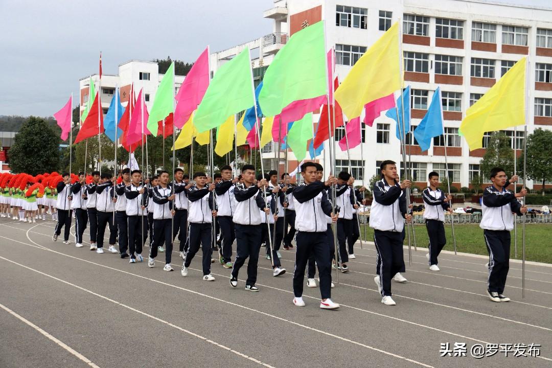 罗平县文化广电体育和旅游局最新项目，推动地方文化体育事业繁荣发展