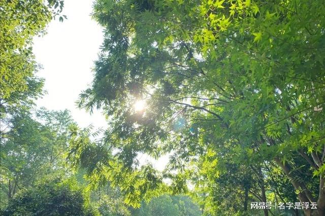 果林场最新天气预报