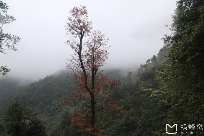 峻岭林场最新天气预报