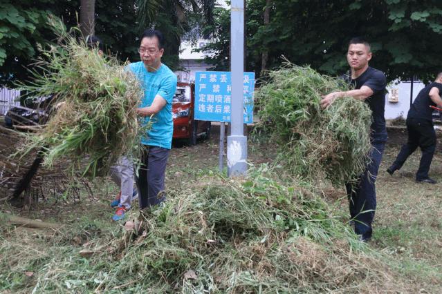 松江区石湖荡镇 第228页