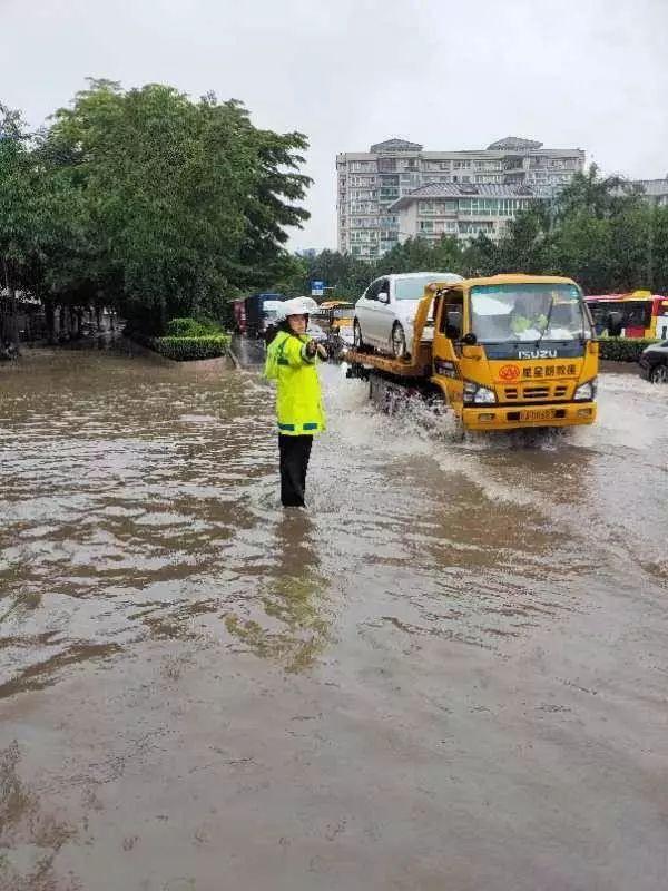 新市区公路运输管理事业单位的最新动态与成就报道