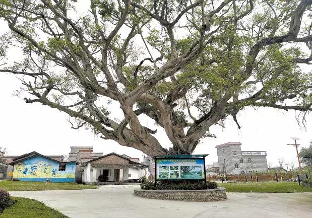 云浮市市卫生局最新项目，推动健康云浮建设迈上新台阶