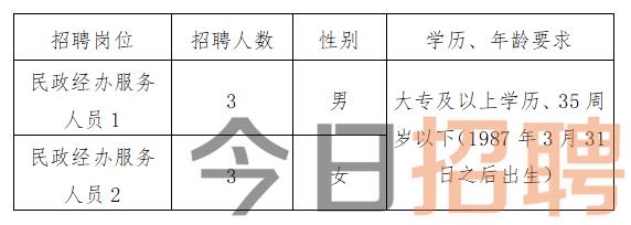 明照乡最新招聘信息概览