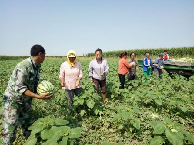 临河区文化广电体育和旅游局最新领导团队及其影响