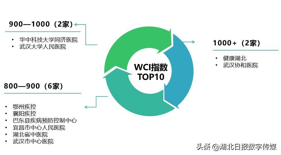 巴东县数据和政务服务局最新新闻深度解析