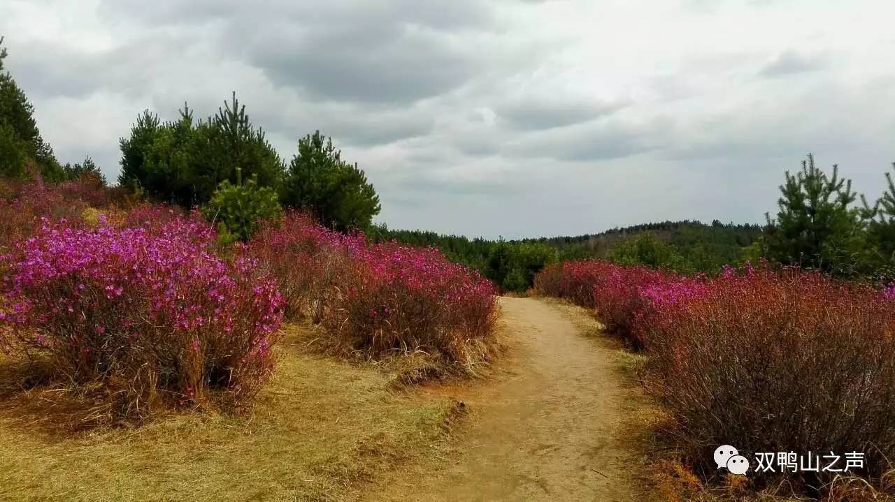 技术咨询 第212页