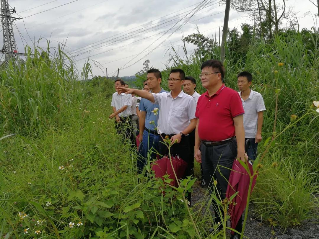 松江区石湖荡镇 第212页