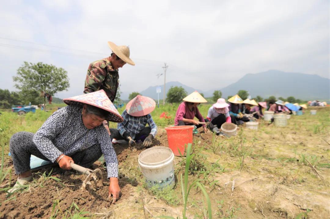 全车改装套件 第205页