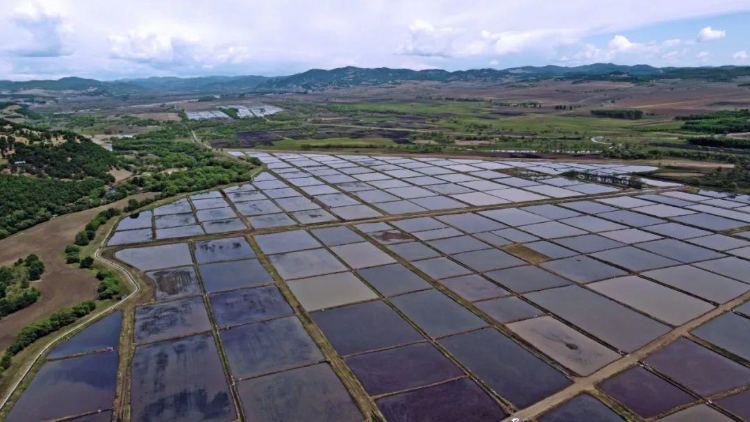 扎兰屯市初中最新领导团队，引领未来，塑造教育新篇章