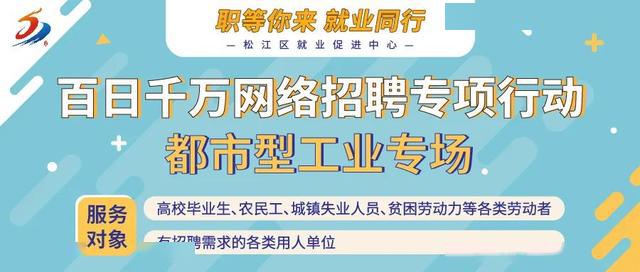 松江区小学最新招聘信息概览