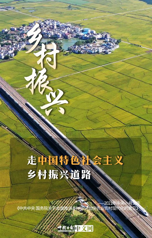 青坪村最新发展规划，打造现代化新农村的蓝图