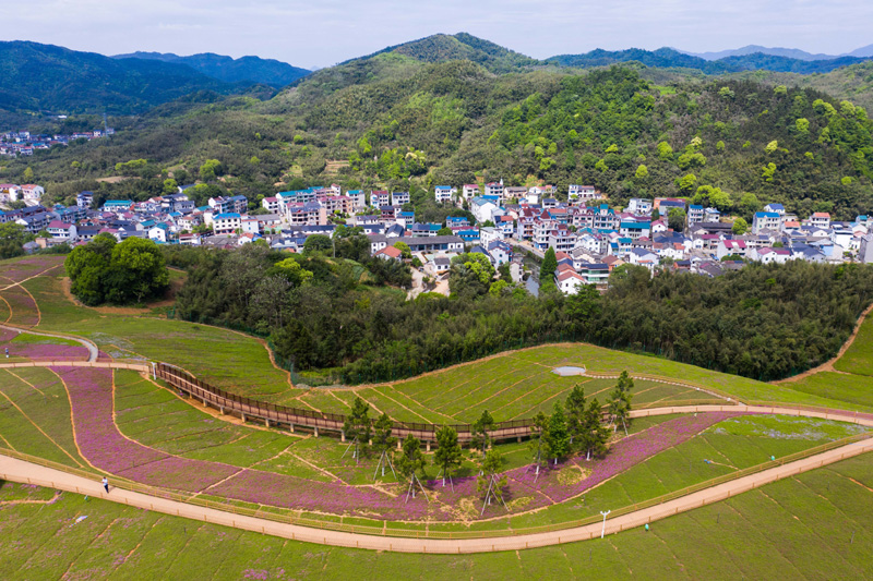 梁家坪村委会最新项目，振兴乡村，共创美好未来