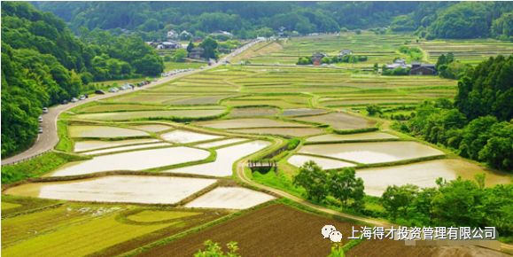 馒头营乡最新项目，乡村振兴的新引擎