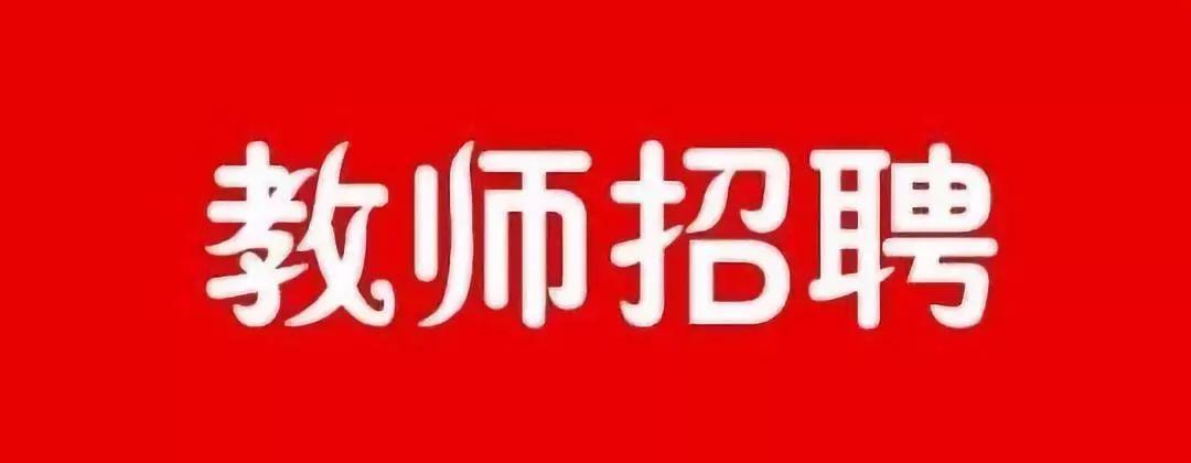 经济技术开发区财政局最新招聘信息详解