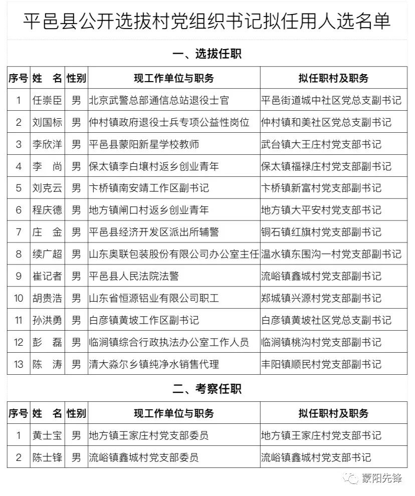 郝藏村委会最新人事任命，推动村级治理再上新台阶