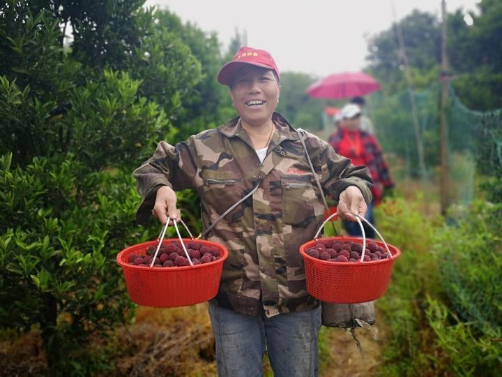 黄湾村民委员会最新项目，推动乡村振兴，提升社区发展