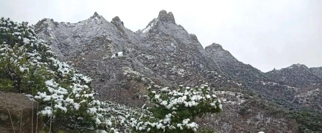 艾山街道最新天气预报详解