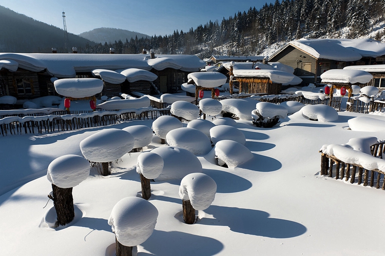 雪乡最新天气预报及其魅力展现