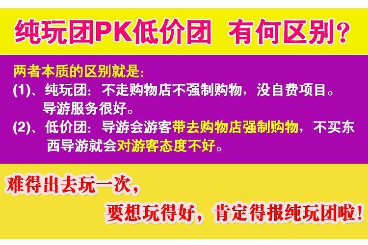 新澳天天开奖免费资料查询，以情释义，深入解析与落实