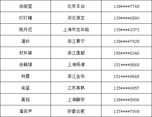 新澳门开奖结果查询，释义解释与落实行动