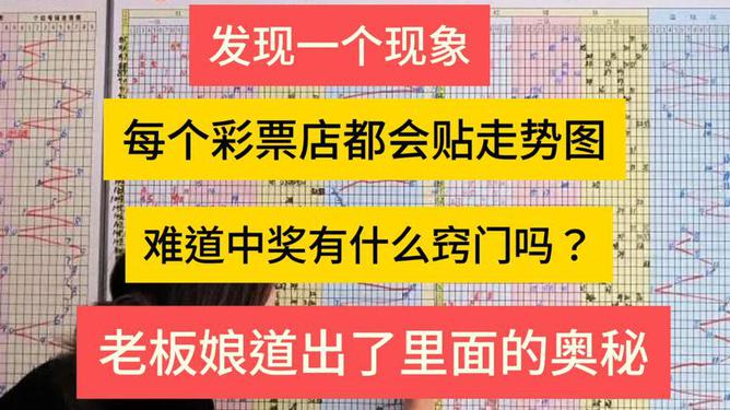 探索未来彩票奥秘，解读新澳门开奖号码与核心释义的落实