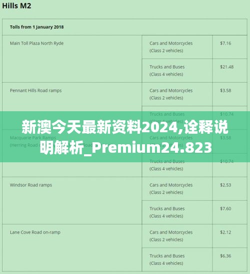 新澳最新资料2025，最佳释义解释与落实战略展望