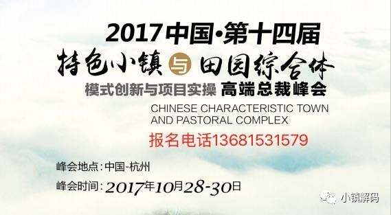 澳门正版开奖资料免费大全特色，风险释义与解释落实的探讨（2025年视角）