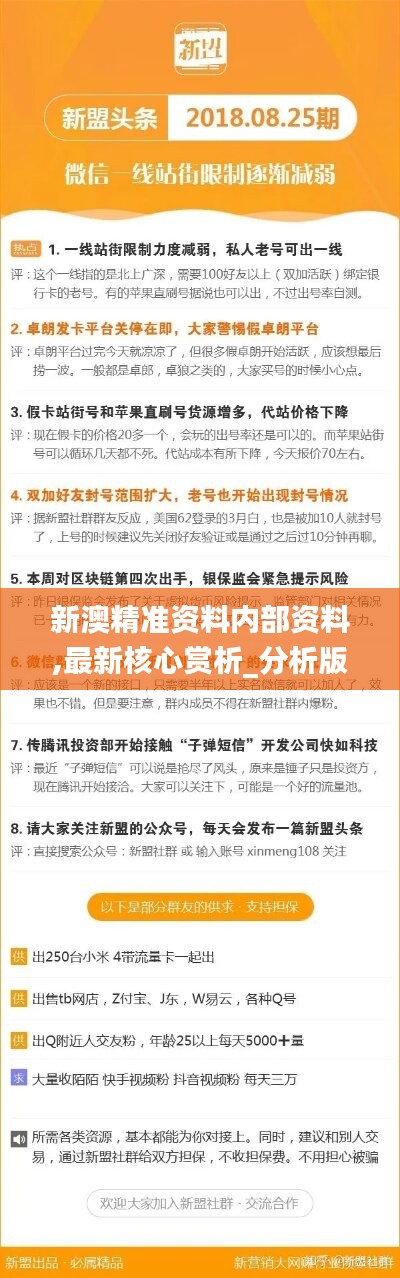 解读新澳精准正版资料，实效释义与落实策略