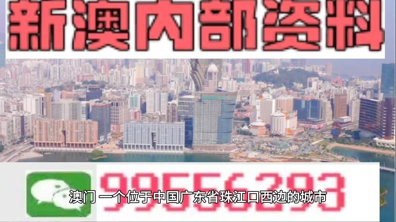 新澳门2025年资料大全宫家婆，多样释义与实施的蓝图