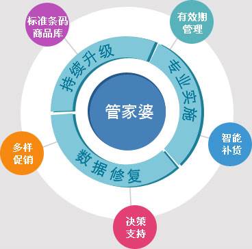 探索精准管家婆的奥秘，体系释义、执行与落实的重要性