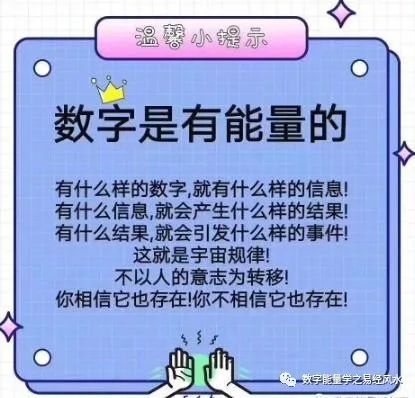 探索最准一肖一码软件，准确预测与宝贵释义的落实之道