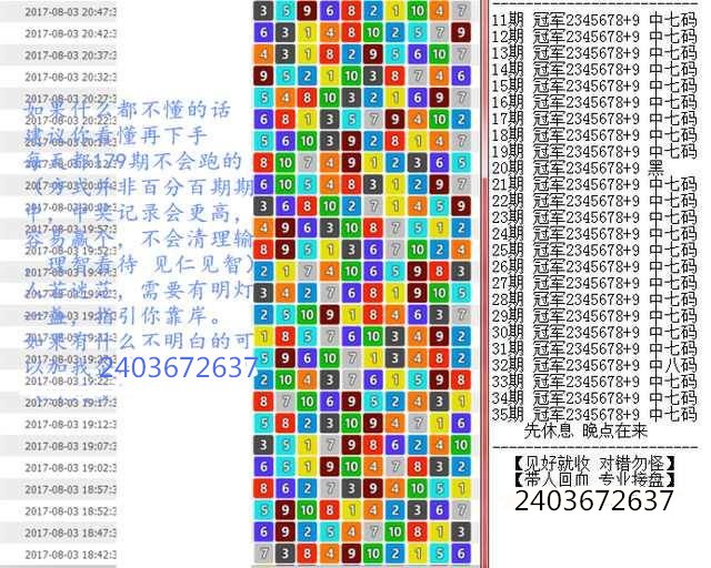 澳门王中王，教训释义、解释与落实的重要性