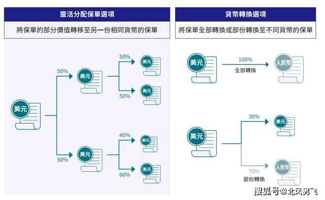 白小姐一码一肖，100%准确预测的背后逻辑与释义