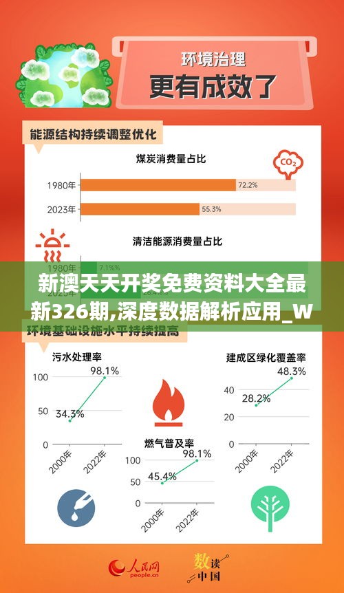 探讨新奥资料，精准正版资料的重要性与整治落实策略