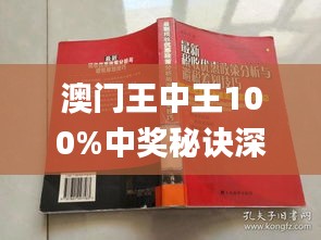 新澳门王中王与期期中的奥秘，深入解析与实际应用