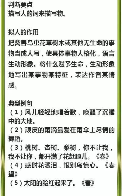 新澳精选资料免费提供，准绳释义解释落实的重要性