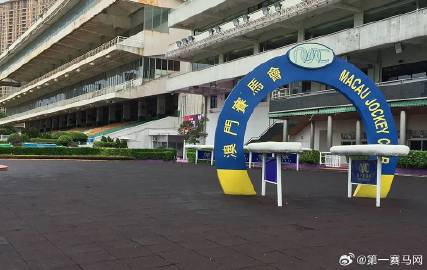 新澳门今晚开特马开奖与尊师释义，深度解读与实践落实