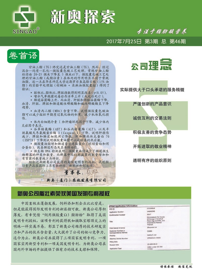 探索力量之源，从精准资料到力量释义的落实之路 —— 以新奥集团为例（2004年精准资料免费提供）