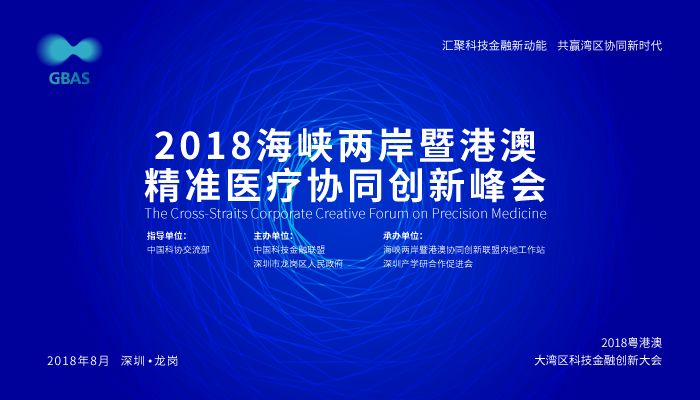 新澳2025年精准资料33期，闪电释义与行动落实详解