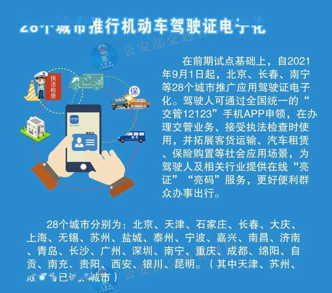 探究正版免费资料的未来趋势，国产释义解释与落实的2025新浪时代