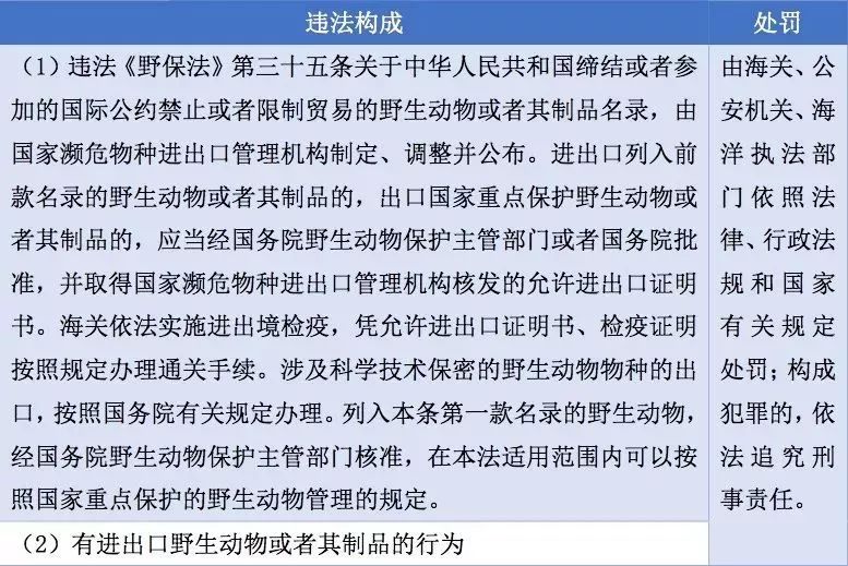 正版挂牌资料全篇100%，释义解释与贯彻落实的重要性