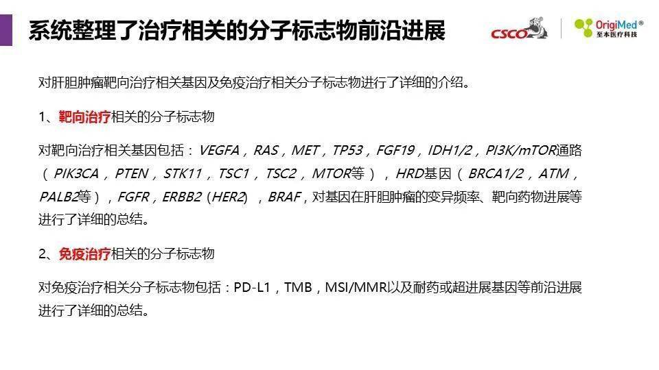 探索未来教育之路，2025免费资料精准一码与能耐释义的落实之旅