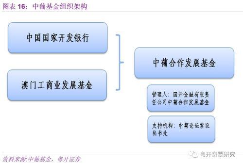 新澳门天天资料与创投释义，解读与落实策略