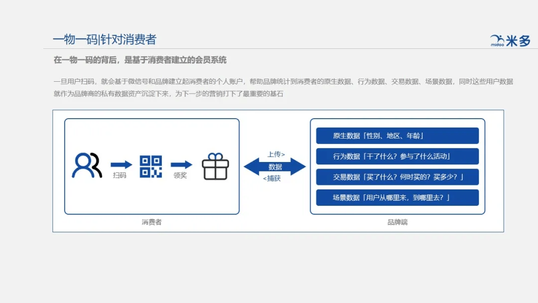 揭秘一肖一码，精准谋划释义与有效落实策略