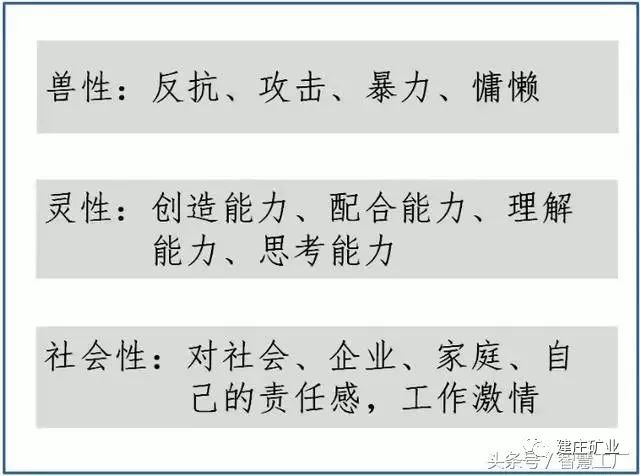 今晚澳门特马开什么，四不像的裁定释义与解释落实