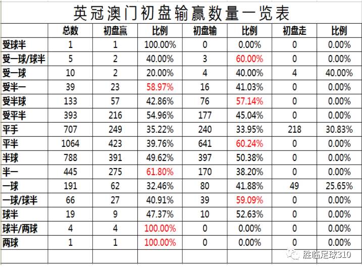 解析澳门新王者，杯盘释义与落实策略