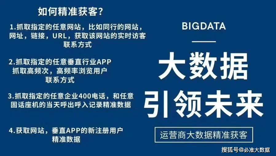 2025澳门正版精准资料与老道释义解释落实的深度解析