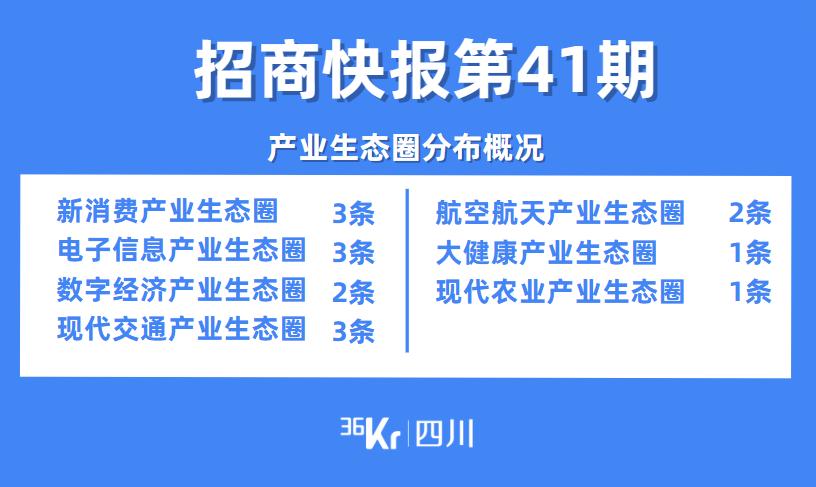 管家婆2025正版资料图第95期，化程释义、解释与落实策略