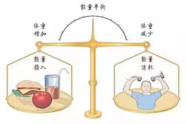 澳门一码一肖，客观释义与解释落实的重要性